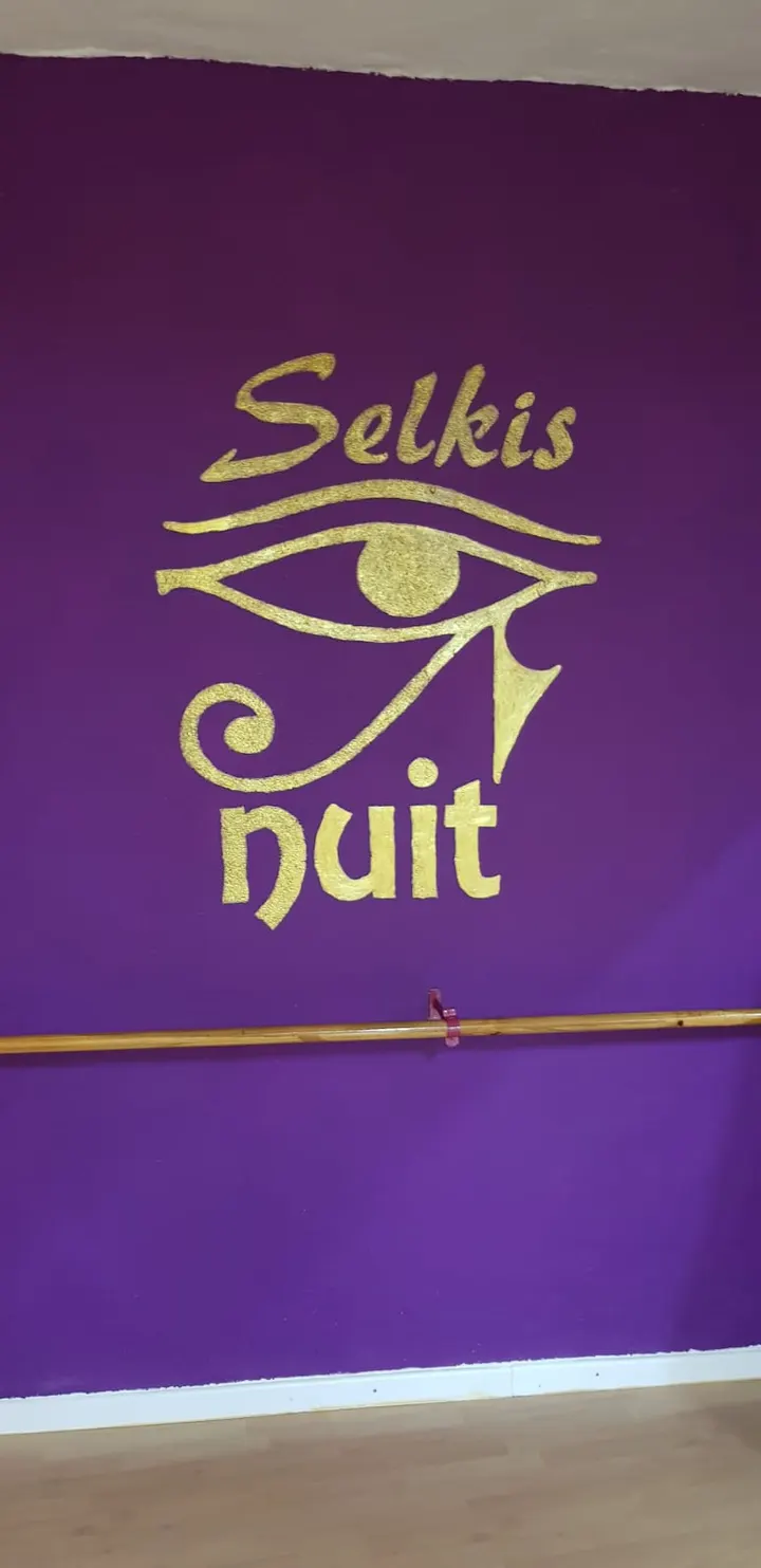 Danza Oriental Selkis Nuit — baile-studio en Cuenca — 5