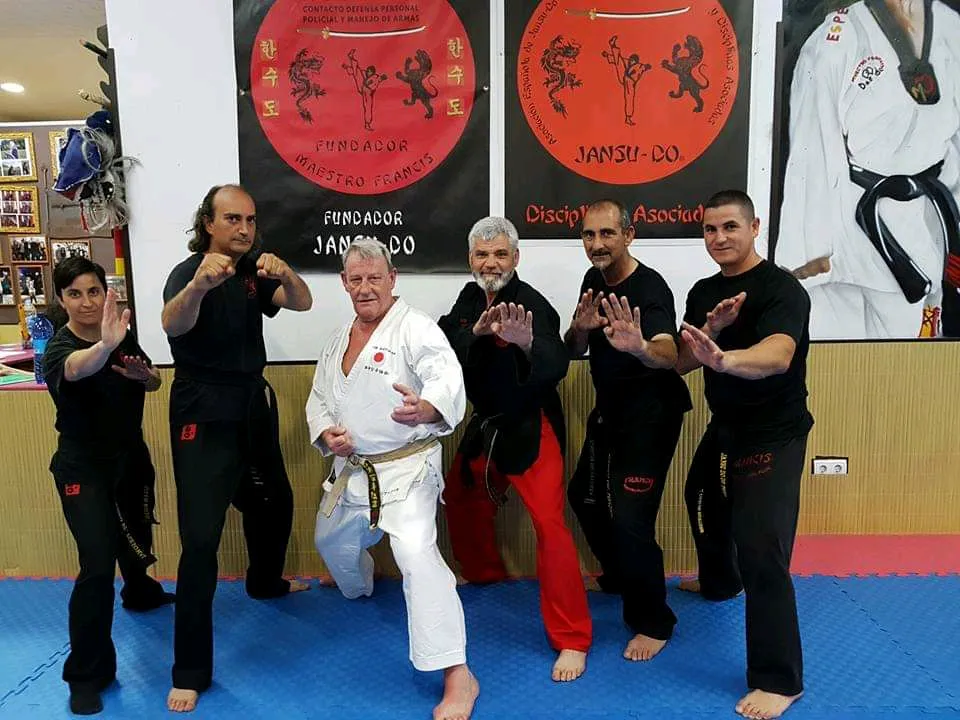 Maestro Francis — artes marciales-studio en Los Boliches, Fuengirola — 2