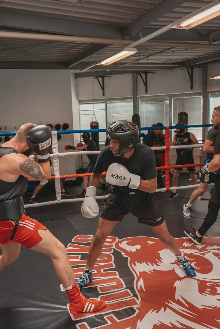 tm sports — mma-studio in Grone, Göttingen — 2