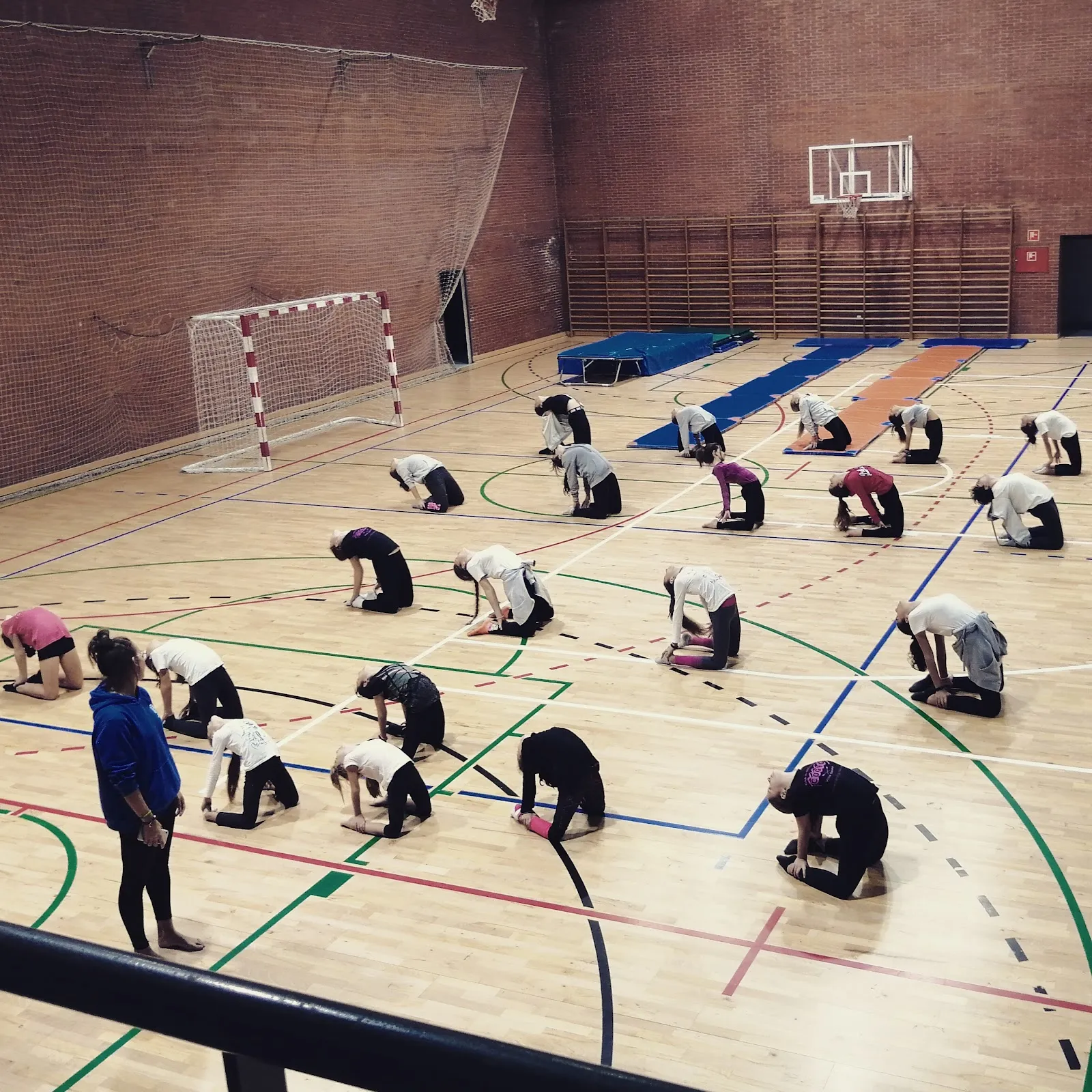 Villa Getafe — gimnasia-studio en Getafe — 4