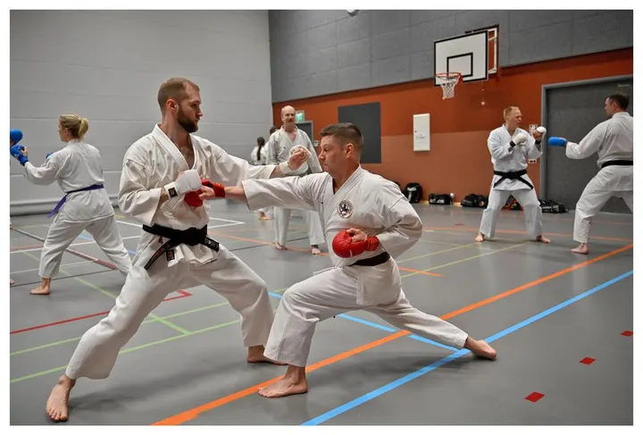 Lempäälän Shotokan Karate — Martial Arts – Lempoinen, Lempäälä