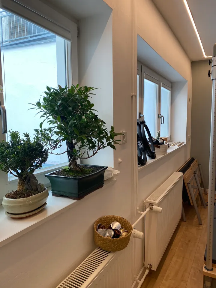 Harmony Pilates — pilates-studio in Düsseldorf — 4