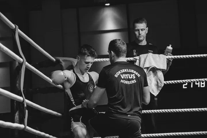 Bokseklubben Vitus Horsens — Boxing i Torsted, Horsens