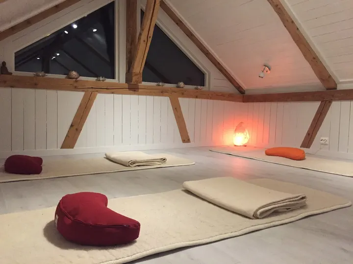 REALIGNED YOGA AND MARCETING ZINN — yoga-studio i Vettre — 3