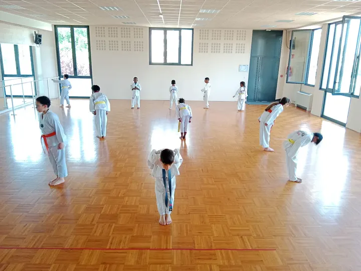 Académie Taekwondo Same Kwon Gymnase Paul Langevin — arts martiaux-studio à Paris — 3
