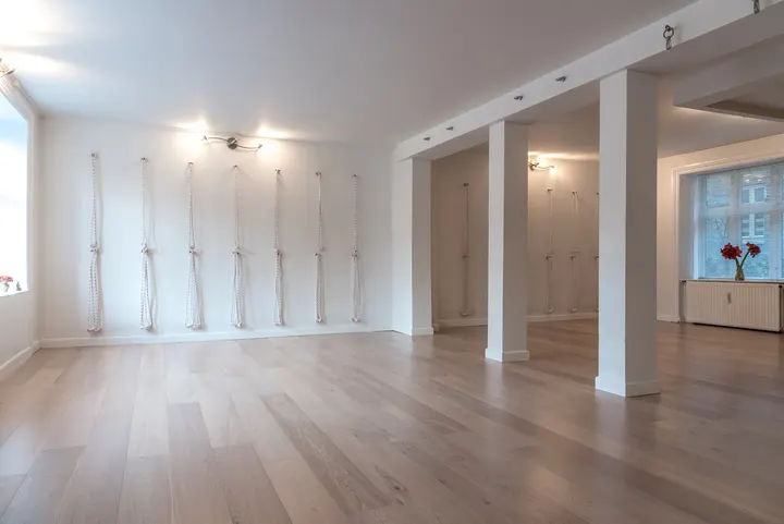 Wildest Yoga — yoga-studio i Nørrebro, København N — 2