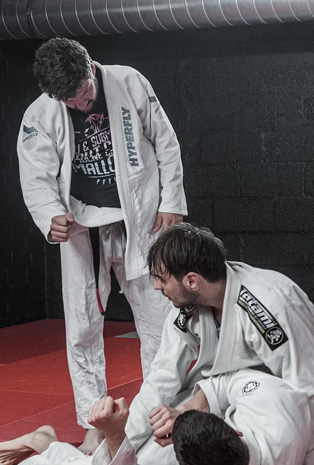 Brazilian Jiu-Jitsu Düsseldorf — bjj-studio in Unterbilk, Düsseldorf — 3