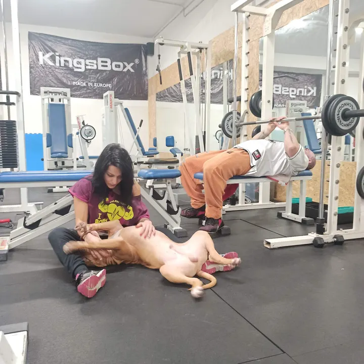 100% Fitness Catania — palestre-studio a Catania — 3