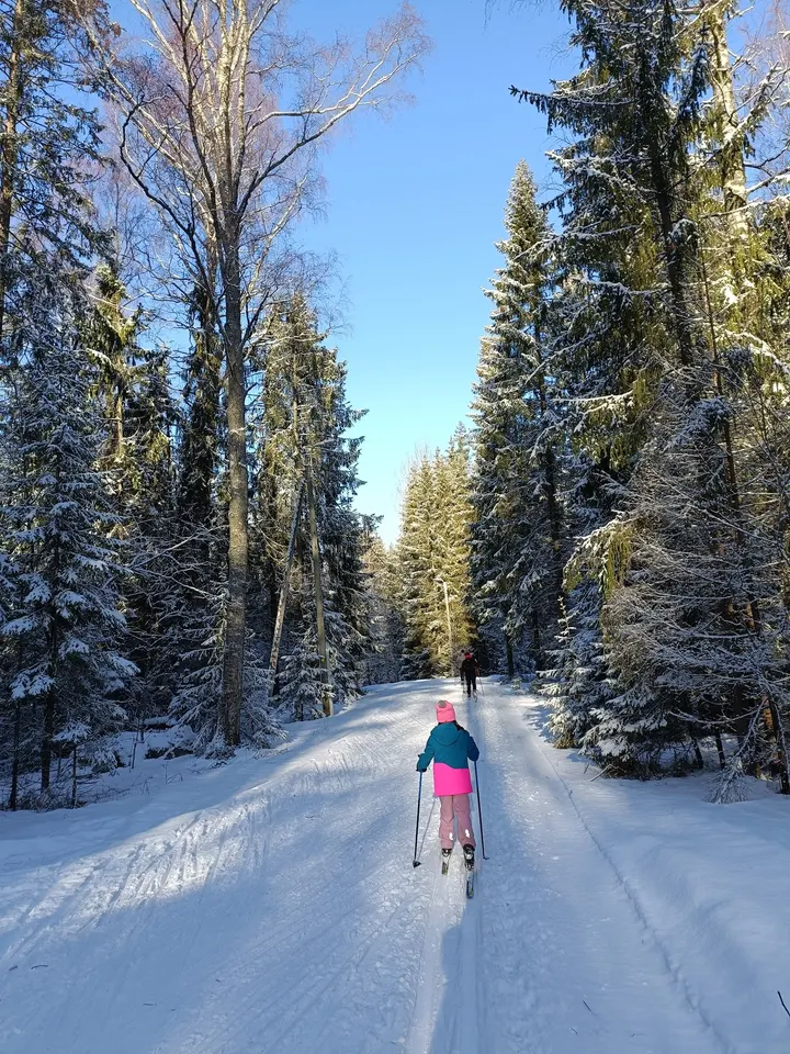 Paloheinän Draikkatorni — Kiipeily – Tuomarinkylä, Helsinki