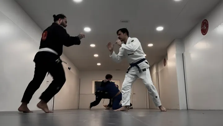 Delariva Jiu-Jitsu Valencia — artes marciales-studio en Valencia — 5