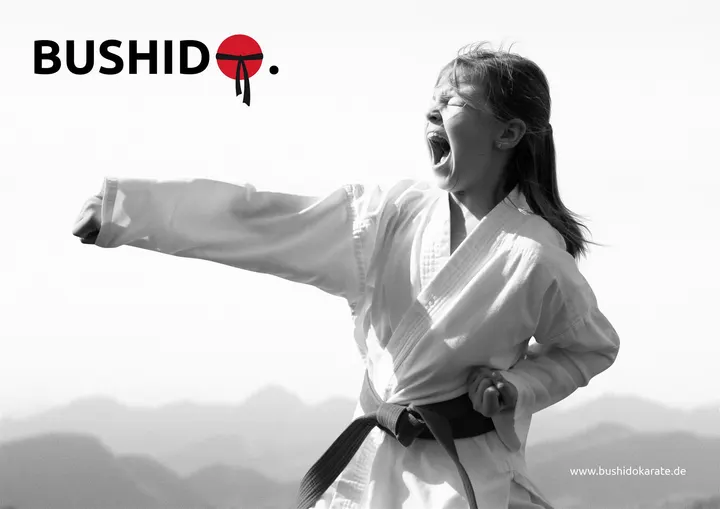 Bushido Karate — kampfsport-studio in Hildesheim — 3