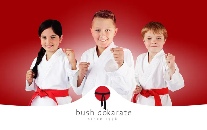 Bushido Karate — Kampfsport in Galgenberg, Hildesheim