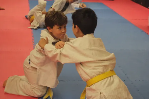 Judo Club Catarroja — Artes marciales en Hort de Ferris, Catarroja
