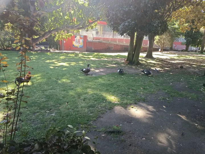 Calisthenics Park Campo dos Mártires da Pátria — Calistenia em Pena, Lisboa
