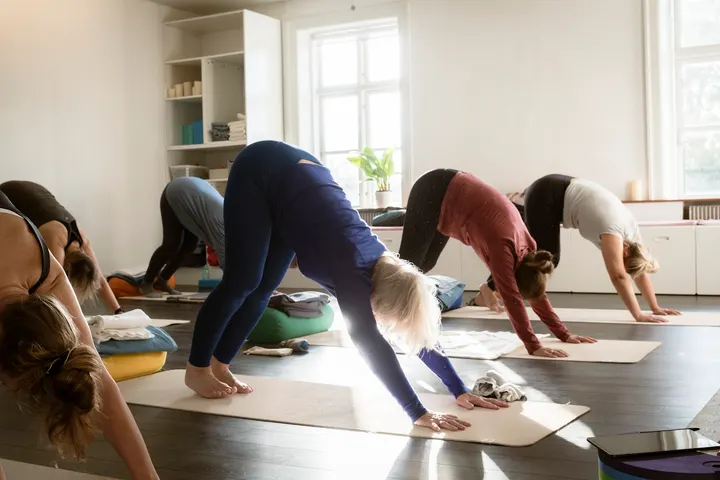 Sekhmet Yoga — yoga-studio i Sorø — 2