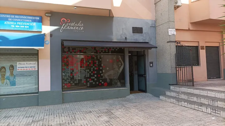 Estudio Flamenco Sevilla — baile-studio en Sevilla — 4
