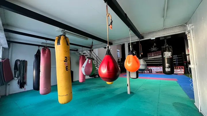 GBS BOXING. Club de Boxeo y Artes Marciales — artes marciales-studio en el Canal, Elche — 2