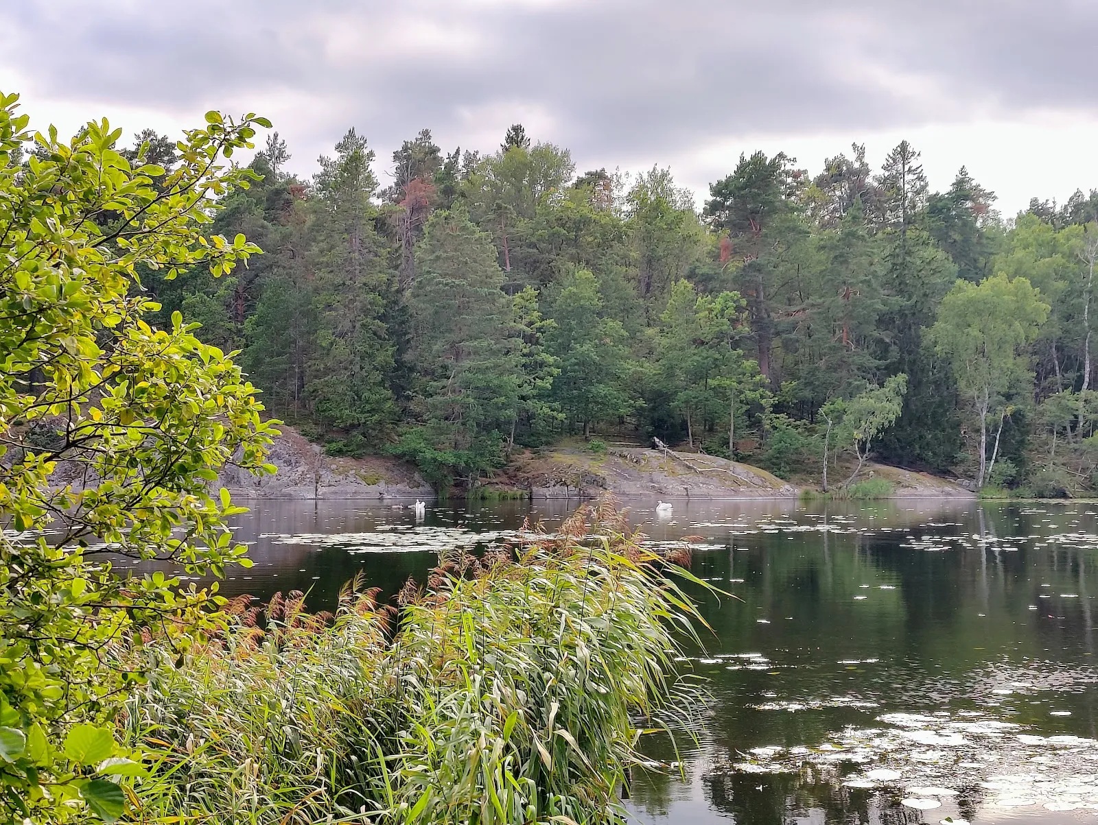 Fagersjö jogging track — träningsstudio-studio i Farsta — bild 5