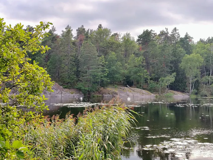Fagersjö jogging track — fitness studio in Stockholm — 5