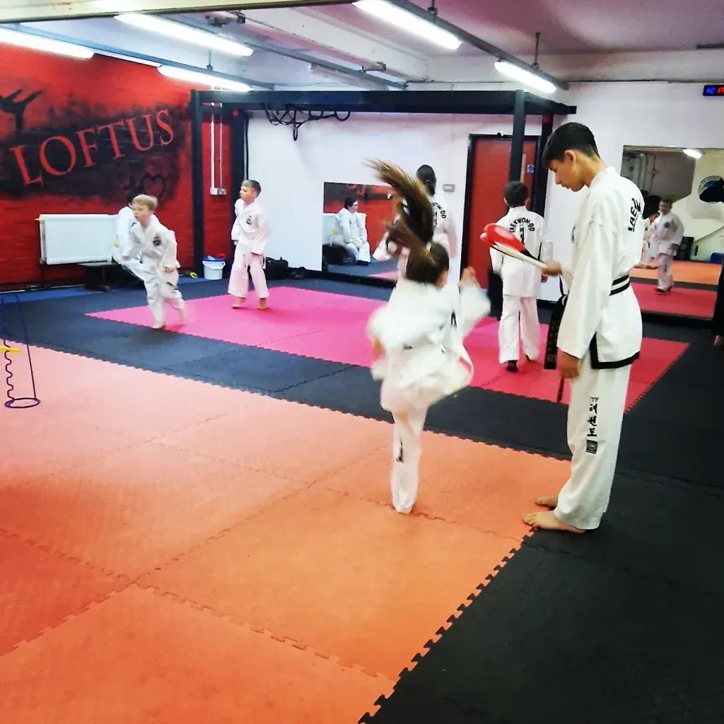 Loftus Martial Arts — kickboxing-studio in Loftus — 3