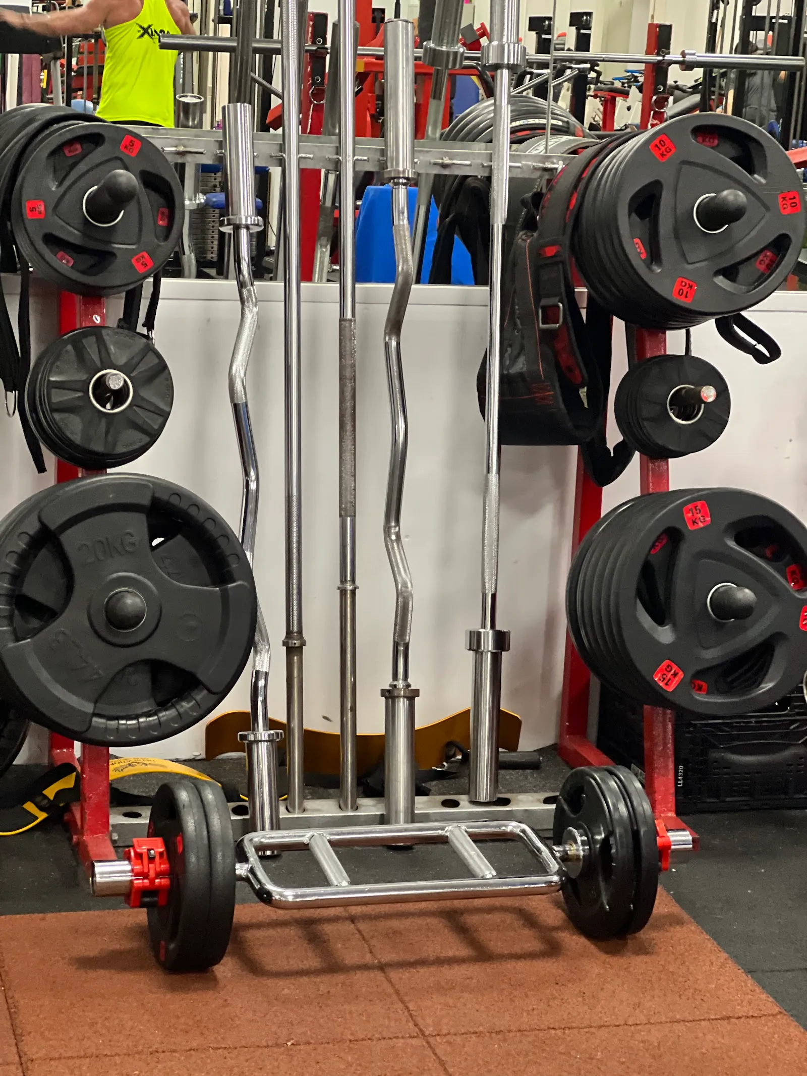 Gym South Beach Garrucha — estudio de fitness-studio en Garrucha — 4