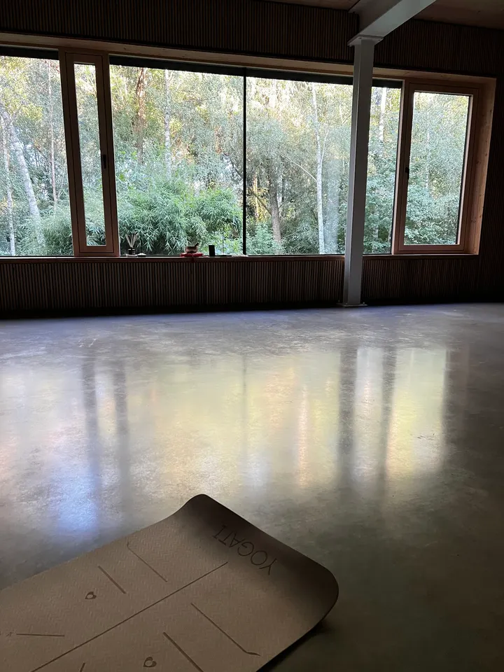 RevierYoga + Revier Physio — yoga-studio in Bochum — 5