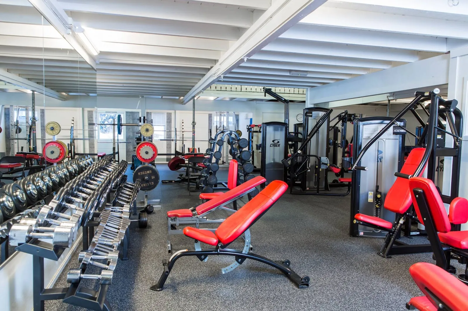 Spartacus Trening & Helse — treningsstudio i Grua — 2