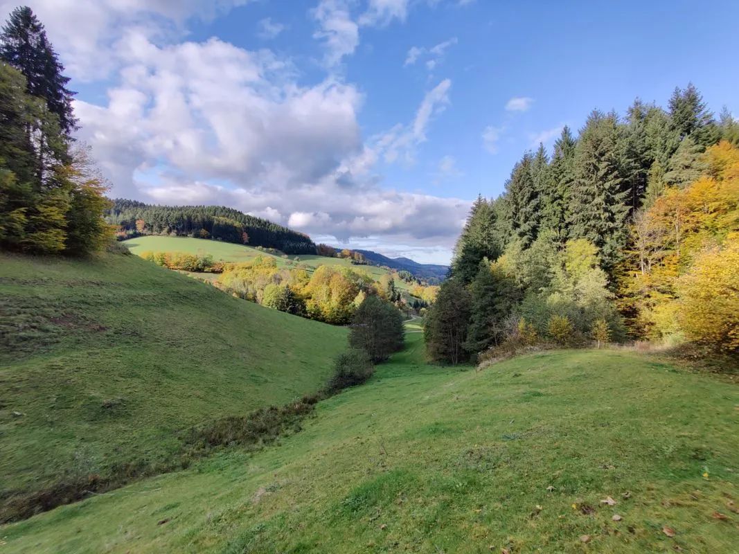 Adams Dorothea Yogalehrerin — yoga-studio in Weststadt Südlicher Teil, Karlsruhe — 3