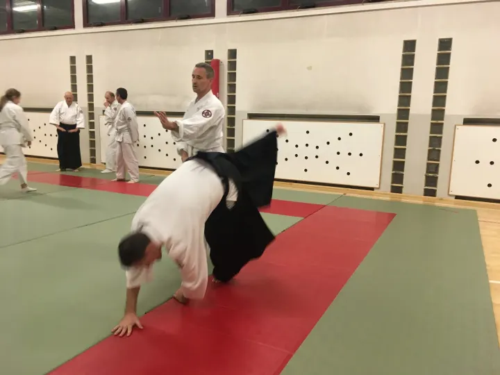 Aikido Seikikan dojo di Breganze — arti marziali-studio a Zabarella, Breganze — 2