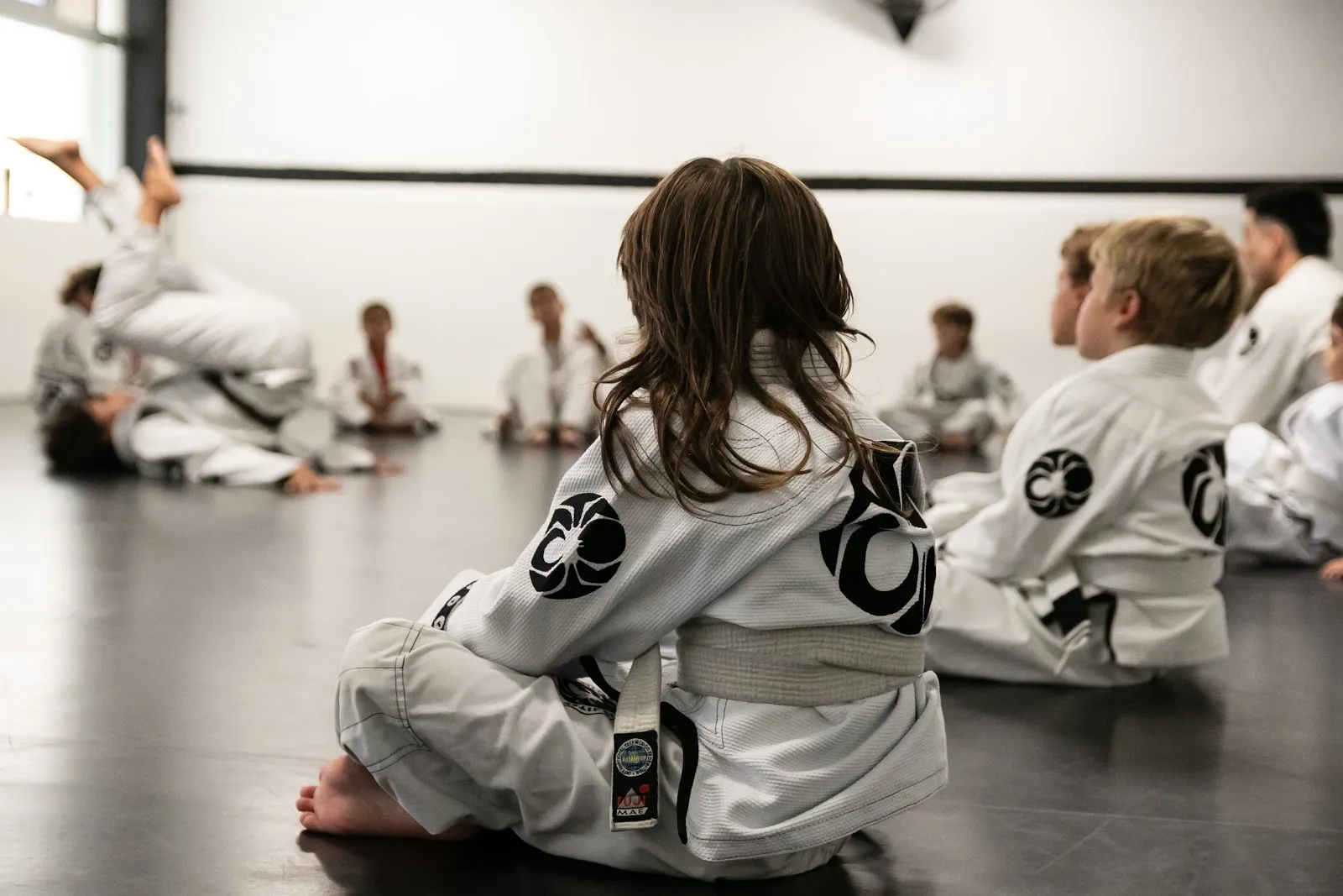 Aranha Sant Cugat — bjj-studio en Sant Cugat del Vallès — 3