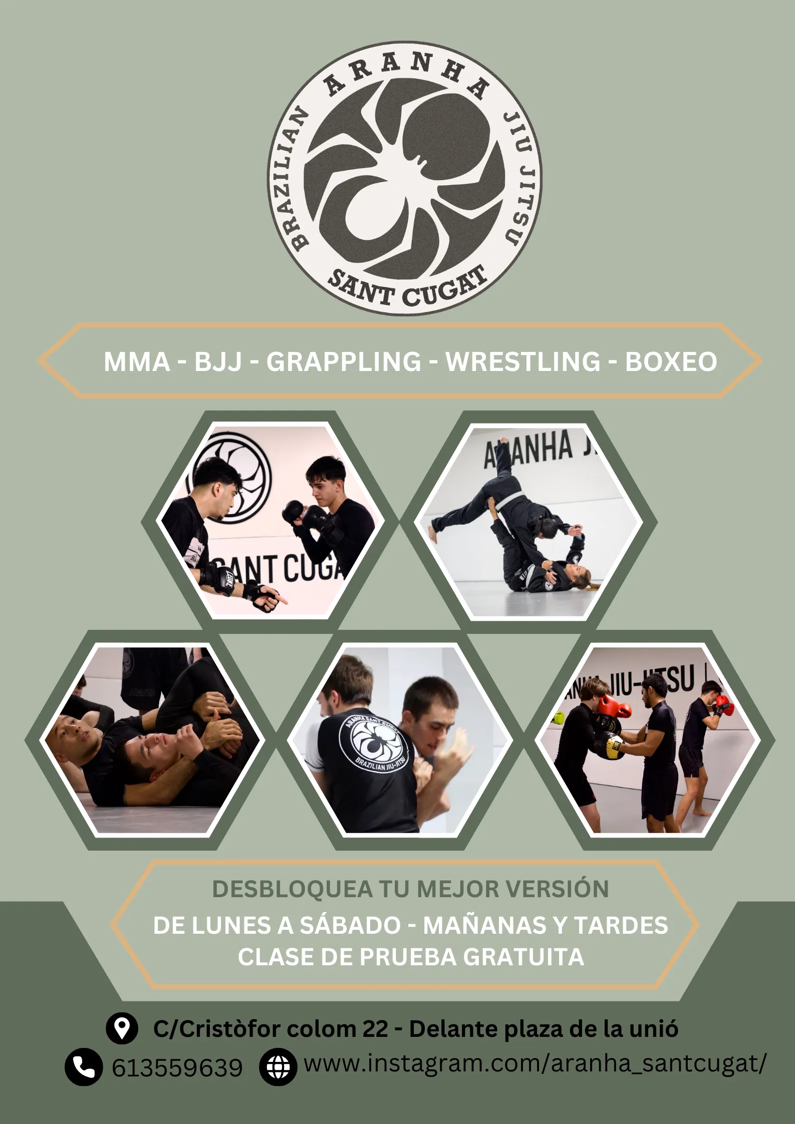 Aranha Sant Cugat — bjj-studio en Sant Cugat del Vallès — 3