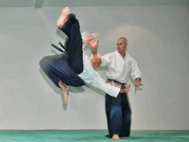Aikido Zentrum Offenbach — kampfsport-studio in Offenbach am Main — 3