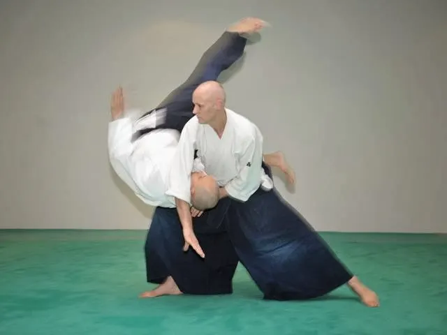 Aikido Zentrum Offenbach — kampfsport-studio in Offenbach am Main — 4