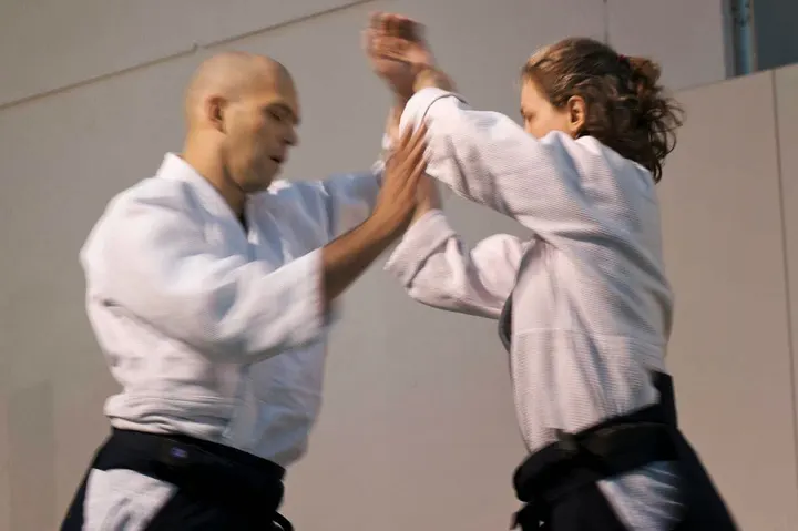 Aikido Zentrum Offenbach — Kampfsport in Zentrum, Offenbach am Main