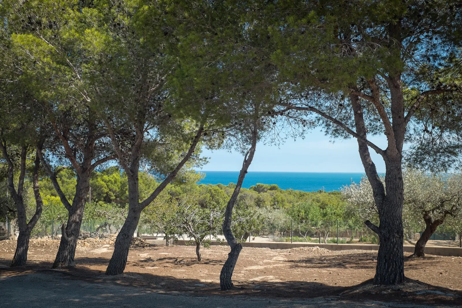 Beyogi&healthy With Mónica — yoga-studio en Santa Perpètua de Mogoda — 4