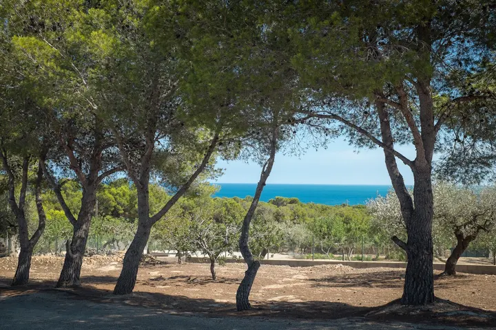 Beyogi&healthy With Mónica — yoga-studio en Barcelona — 4