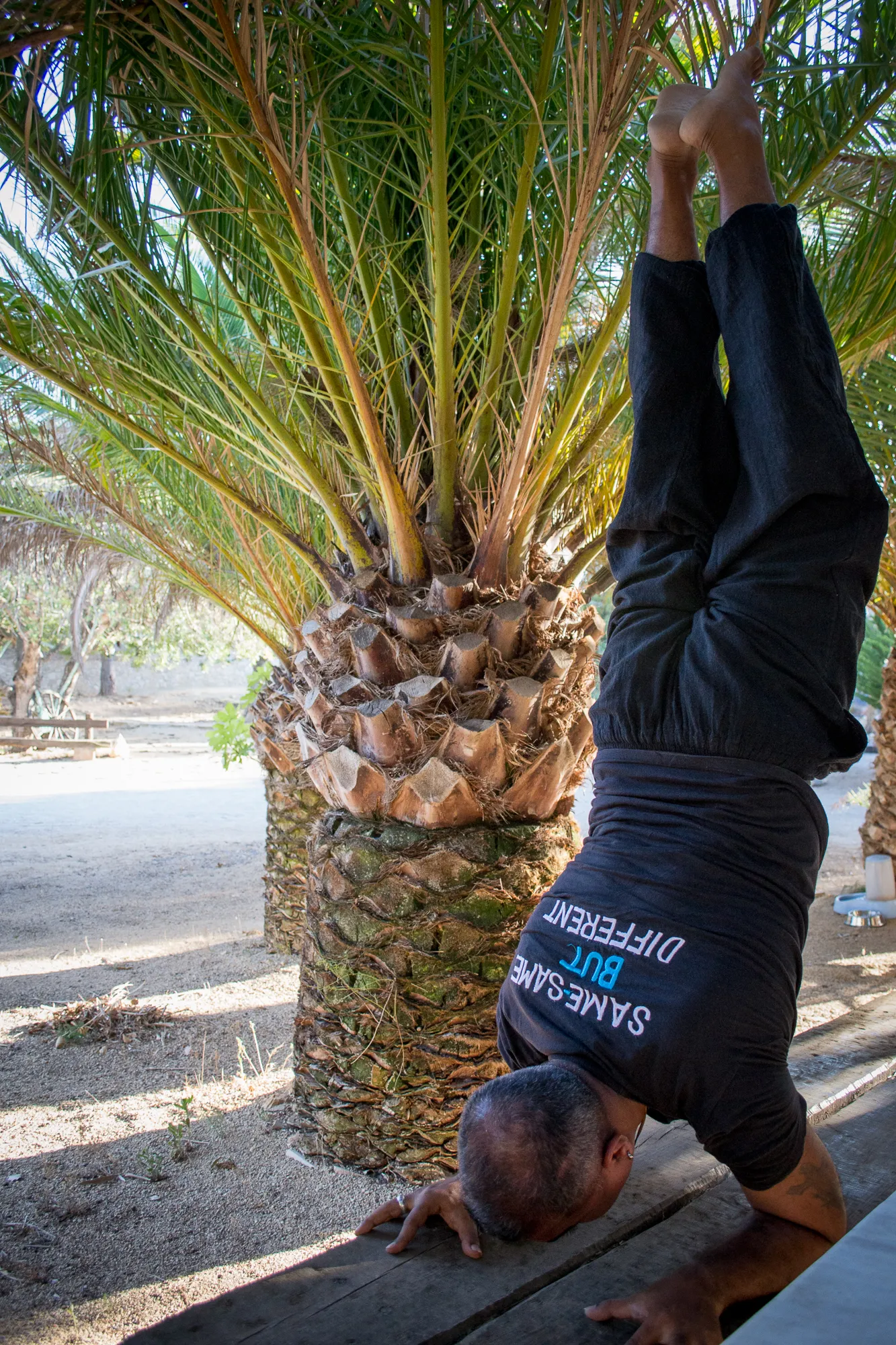 Beyogi&healthy With Mónica — yoga-studio en Santa Perpètua de Mogoda — 5
