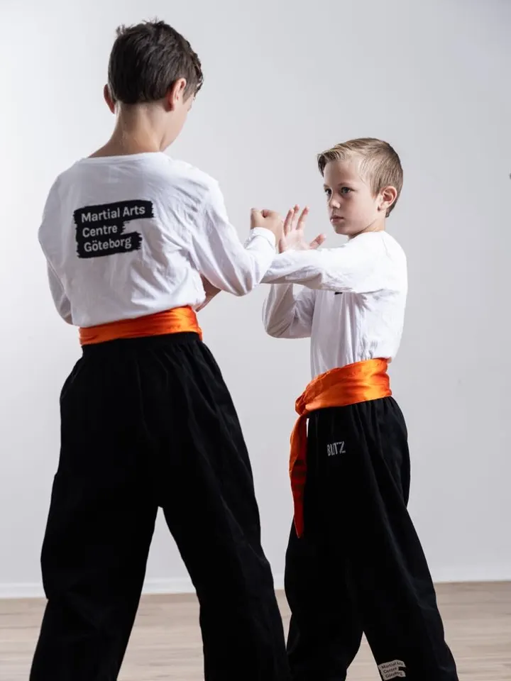 Martial Arts Centre Göteborg — martial arts-studio i Stampen, Göteborg
