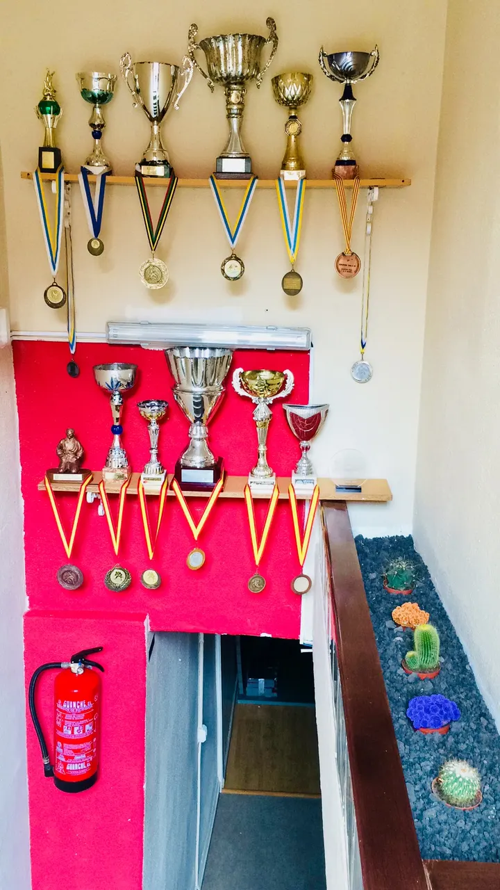 Club Deportivo Ramon Diaz — artes marciales-studio en Las Palmas de Gran Canaria — 3