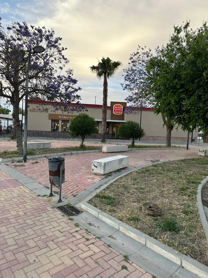 Urban Pley — Artes marciales en Las Canteras, Puerto Real