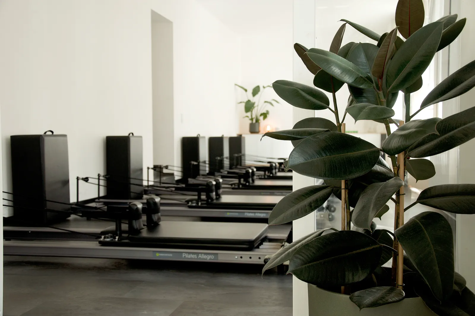 arco pilates — pilates-studio i Köln — 5