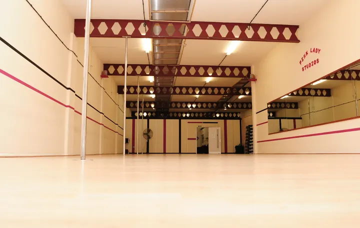 Pink Ladies Health & Fitness — pole fitness-studio in Northampton — 3