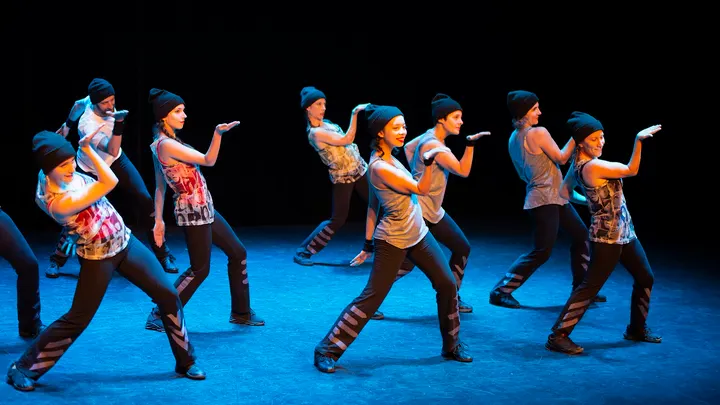 Ecole Danse Dany Lays — danse-studio à Secteur 2, Grenoble — 3