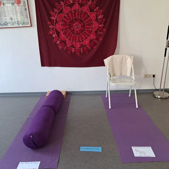 Yogasana Yoga Claudia Löschel — yoga-studio in Hirschacker, Schwetzingen — 3