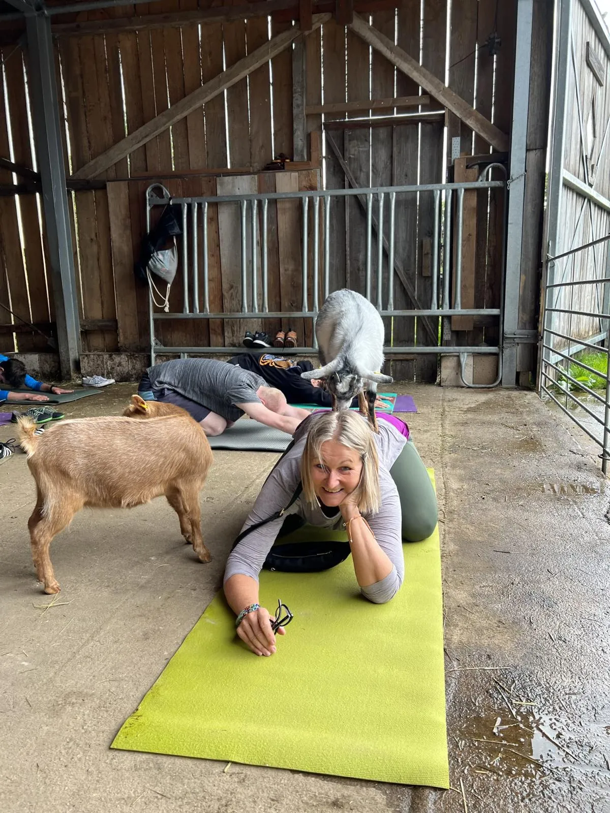Yogaraum Burscheid — yoga-studio i Burscheid — 6