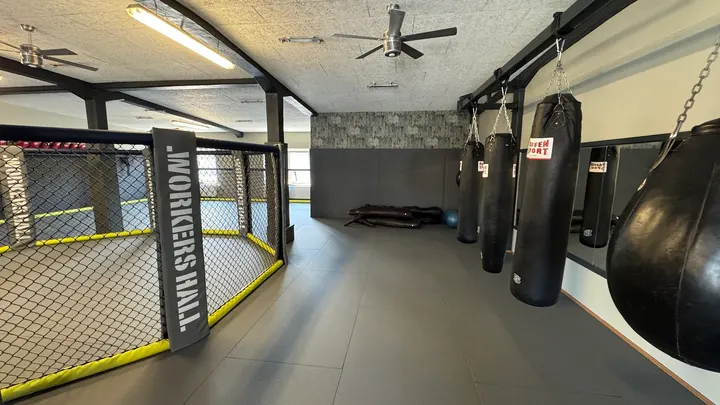 Mad Monkey Academy — mma-studio in Feldmark, Dorsten — 3