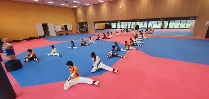 Olympic Taekwondo Den Haag Sportcampus Zuiderpark — vechtsport-studio in Escamp, Den Haag — 2
