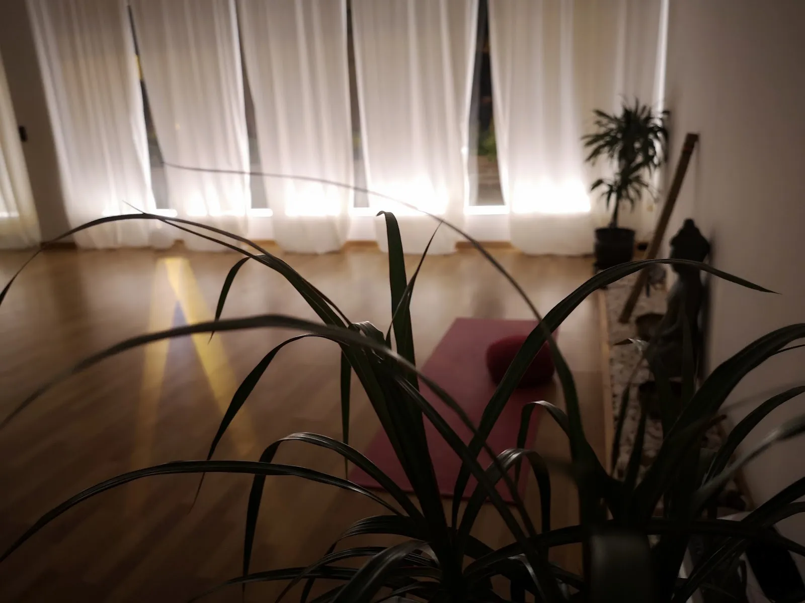 Espacio Yoga (porriño) — yoga-studio en Aviseiro, O Porriño — 3