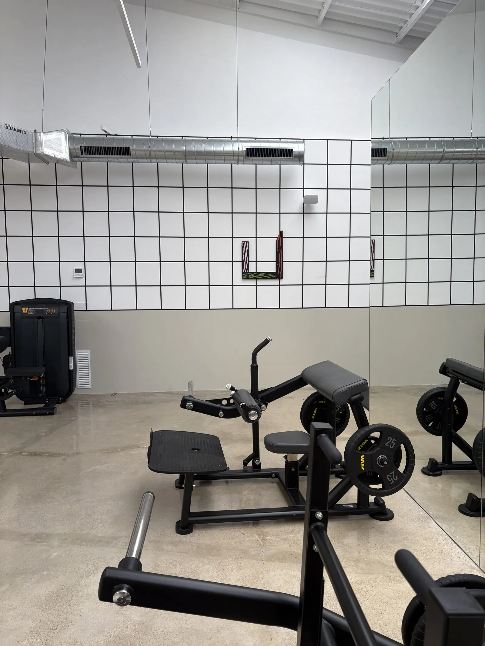 PREMIER GYM — träningsstudio-studio i es Camp Redó, Palma — bild 3