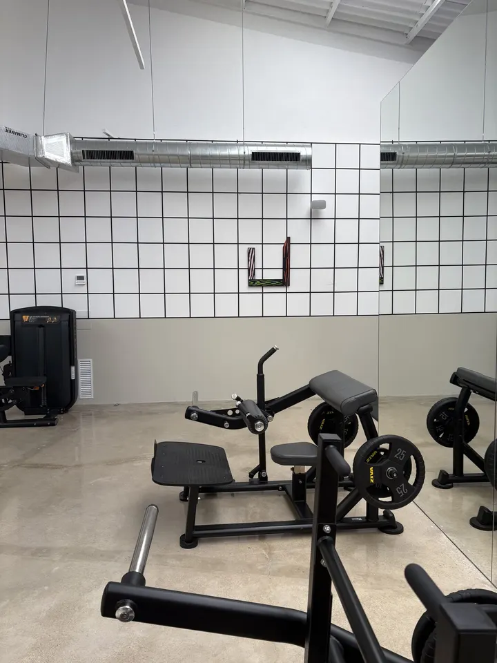 PREMIER GYM — estudio de fitness-studio en es Camp Redó, Palma — 3